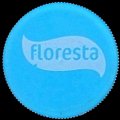 brazilfloresta-01.jpg