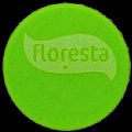 brazilfloresta-02.jpg