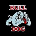 bulgariabulldog-01.jpg