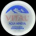 chilevital-01.jpg