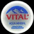 chilevital-02.jpg
