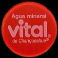 chilevital-31.jpg