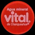 chilevital-32.jpg