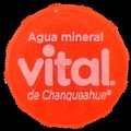 chilevital-33.jpg