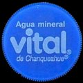 chilevital-34.jpg
