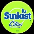 denmarksunkistcitrus-01.jpg