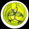 hungarypokemon069-bellsprout.jpg