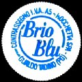 italybrioblu-01.jpg
