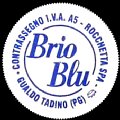 italybrioblu-07.jpg