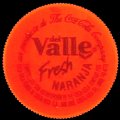 panamadelvallefresh-01.jpg