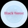 polandblackforest-01.jpg