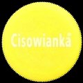 polandcisowianka-04.jpg