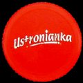 polandustronianka-05.jpg