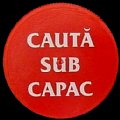 romaniacautasubcapsc-01.jpg