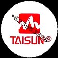 taiwantaisun-03.jpg