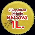 turkeybedava1l-01.jpg