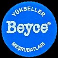 turkeybeyce-01.jpg