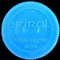 turkeysural-03.jpg